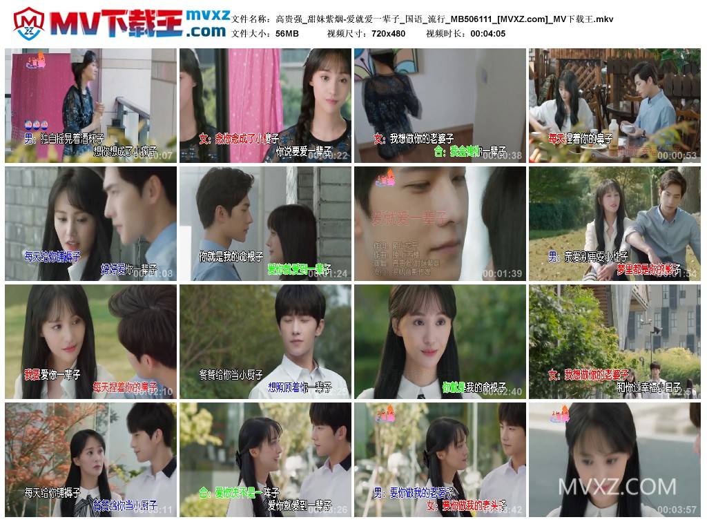 高贵强_甜妹紫烟-爱就爱一辈子_国语_流行_MB506111